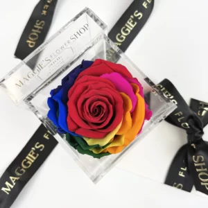 B&BA Single Rainbow Eternity Rose