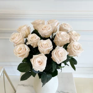 B&BA Eternity Roses
